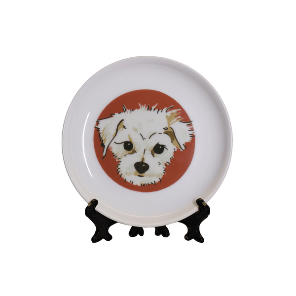 Custom Cartoon Porcelain Plate